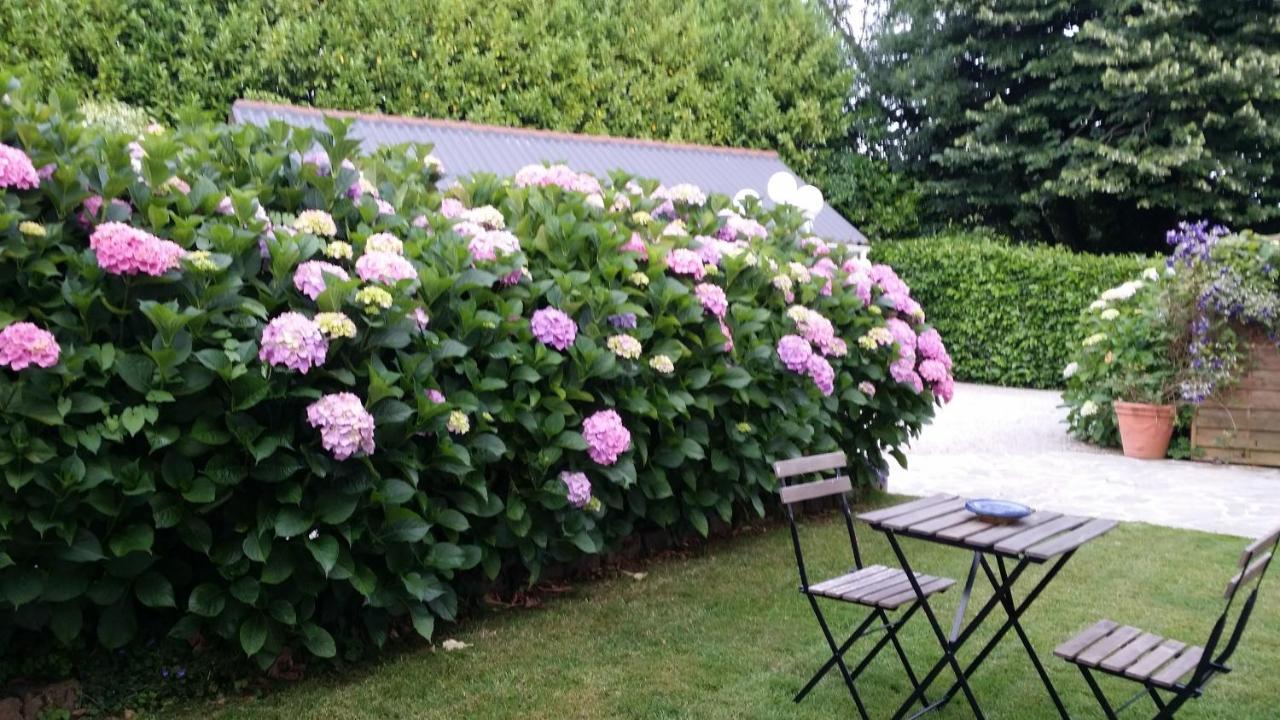 Villa Les Hortensias Pont-Croix エクステリア 写真