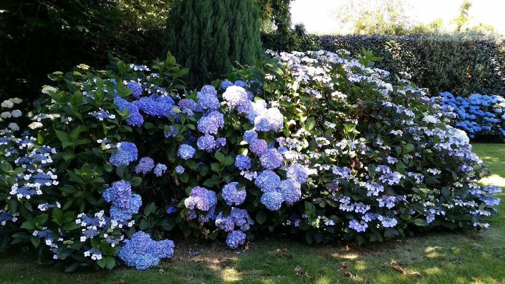 Villa Les Hortensias Pont-Croix エクステリア 写真